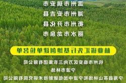 三明创新举措：全国首张“林业碳票投资地图”发布，千亿级绿色项目库吸引跨国资本